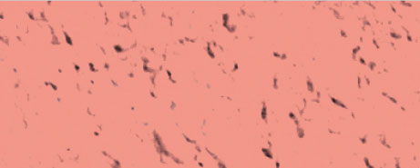 Weberpaint Silcolor - 15L