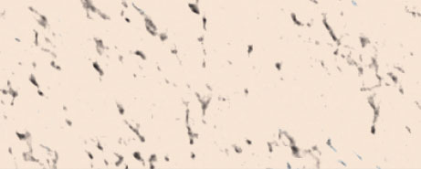 Weberpaint Silcolor - 15L
