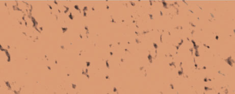 Weberpaint Silcolor - 15L