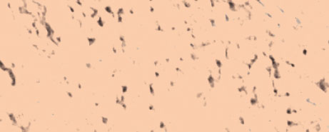 Weberpaint Silcolor - 15L