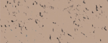 Weberpaint Silcolor - 15L