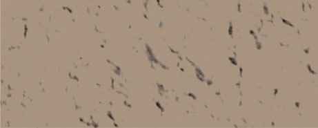 Weberdecor Liso - 25Kg