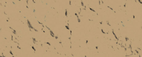 Weberpaint Silcolor - 15L