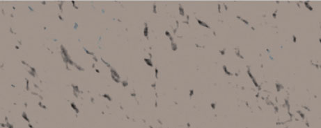 Weberpaint Silcolor - 15L