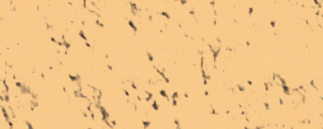 Weberpaint Silcolor - 15L