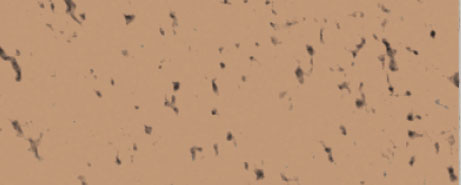 Weberpaint Silcolor - 15L
