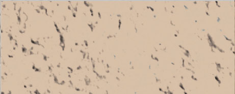 Weberpaint Silcolor - 15L