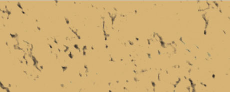 Weberpaint Silcolor - 15L