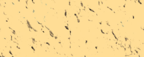 Weberpaint Silcolor - 15L