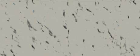 Weberpaint Silcolor - 15L