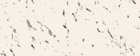 Weberpaint Silcolor - 15L
