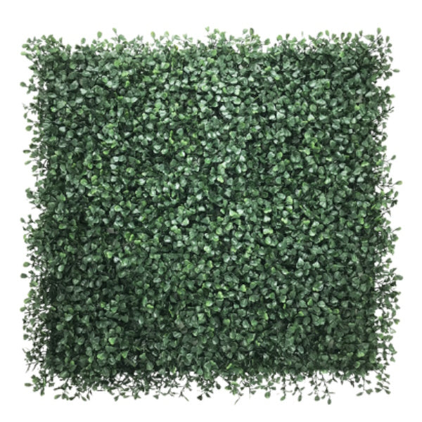 Jardim vertical Boxwood