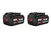 Bateria de Iões de Lítio «20V MAX» 5,0 AH «KEEPCOOL™» (2x) - Skil