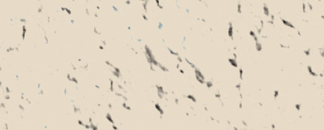 Weberdecor M+ - 25Kg