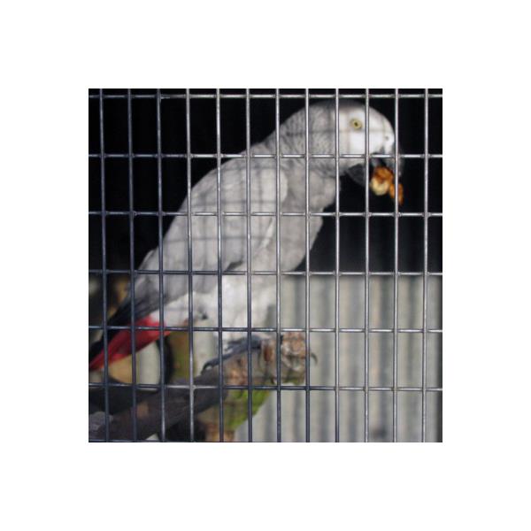 Rede Hagro Eletrosoldada Galvanizada Retangular