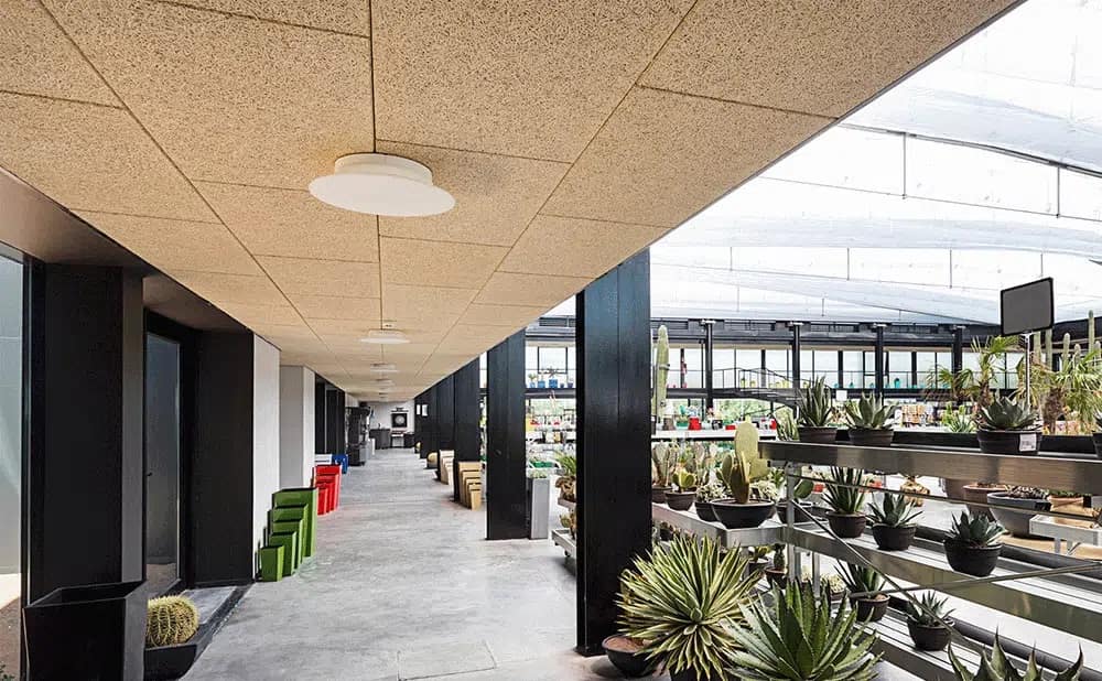 Teto Heradesign Fine