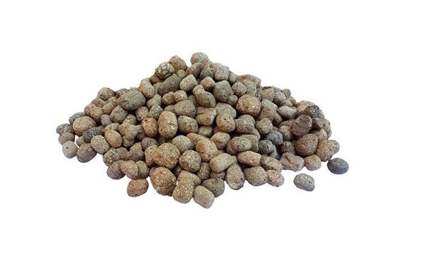 Argila expandida 8-16 Nexclay (8 a 16mm)