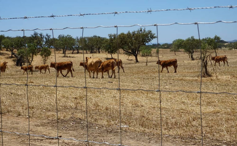 Rede Hagrovina Forte
