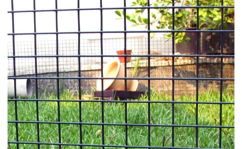 Rede Eletrosoldada Plastificada Verde Quadrada