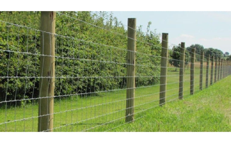 Rede Ovelheira de Nó Ligeira