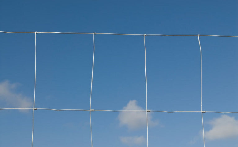 Rede Ovelheira de Nó Ligeira