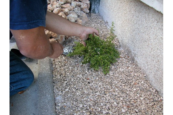 Topeca Floor Garden - decoração com agregados naturais - 1Litro