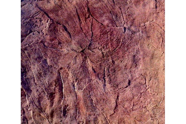 Molde stone skin