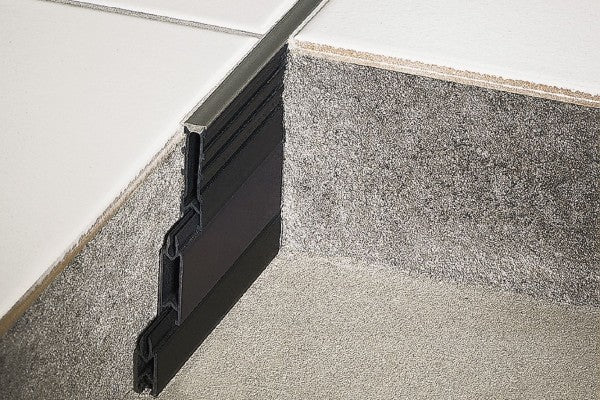 Dilatação Dilex-MP