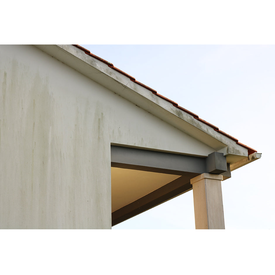 TOPECA ALGIFUNGI - 1 LITRO