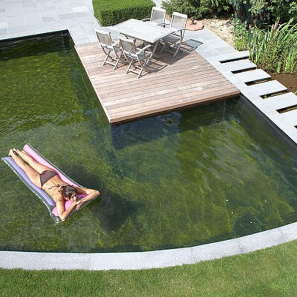 Membrana PVC piscina - Alkorplan Natural Pool - RENOLIT