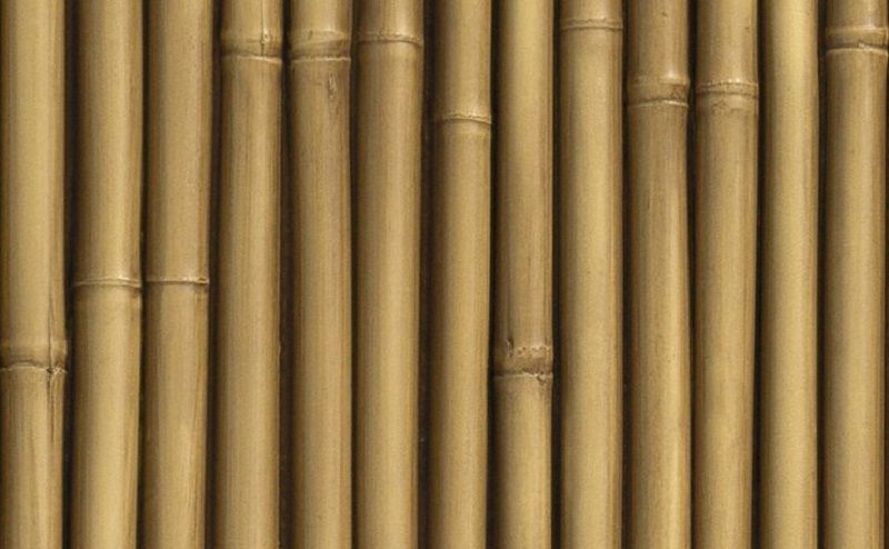 Bambu PX-172 - Panespol