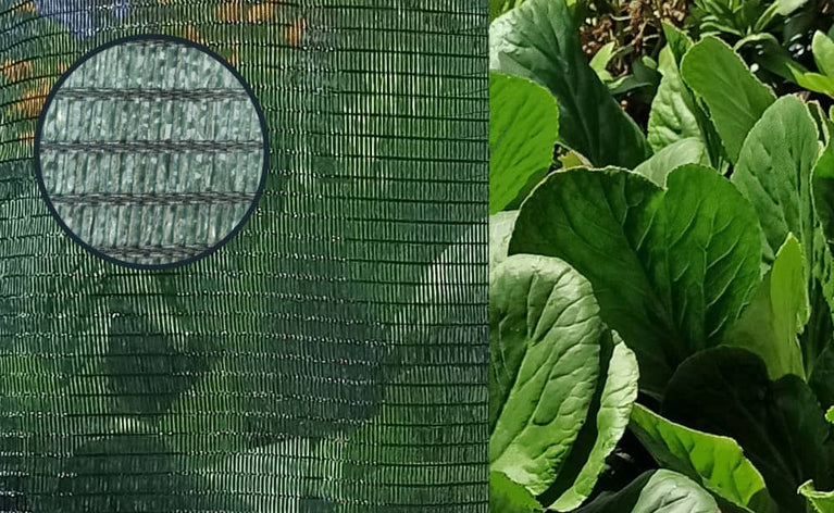 Rede de sombra verde