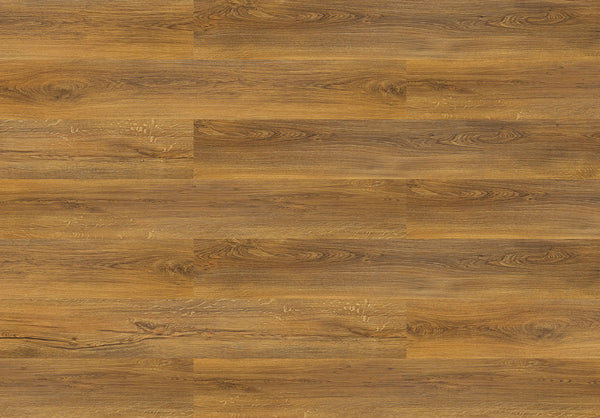 Hydrocork Plus Sylvan Gold Oak
