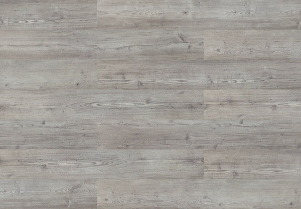 Hydrocork Plus Arcadian Artic Pine