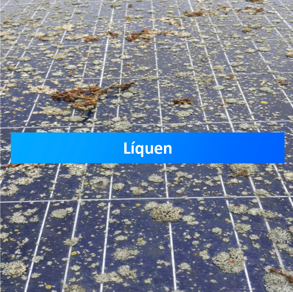 Solar Wash Protect RTU - Pronto a usar - Detergente e anti-aderente para painéis solares - Chemitek