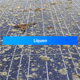 Solar Wash Protect RTU - Pronto a usar - Limpeza e proteção para painéis solares - Chemitek