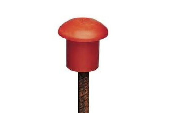 Cogumelos de proteção