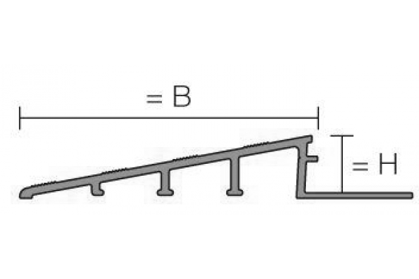 Rampa Reno Ramp